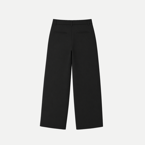 IMANUÉL Pleated Pants
